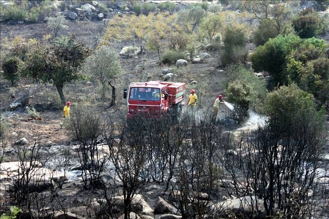 Yangın 3 Hektarı Kül Etti