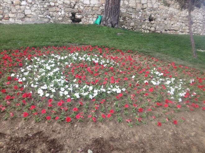 Çiçekler, Bu Kez De Türk Bayrağı Açtı