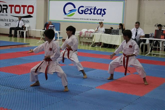 15 Temmuz Şehitleri Ve Gazileri Anısına Karate Şampiyonası 