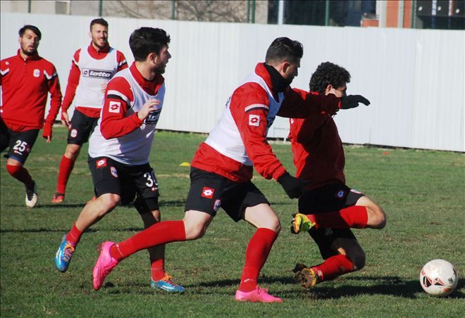 Dardanel Yara Saracak